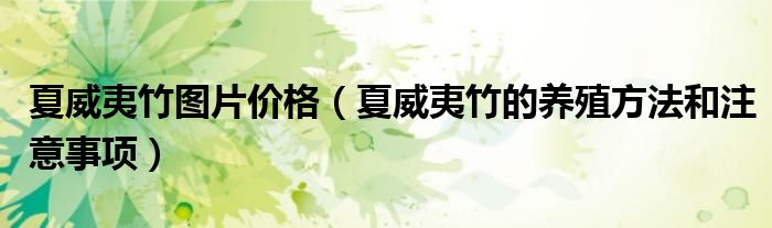 夏威夷竹圖片價(jià)格（夏威夷竹的養(yǎng)殖方法和注意事項(xiàng)）