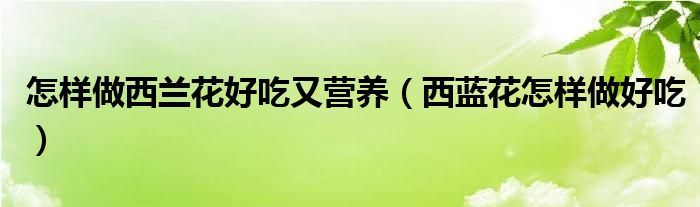 怎樣做西蘭花好吃又營(yíng)養(yǎng)（西藍(lán)花怎樣做好吃）