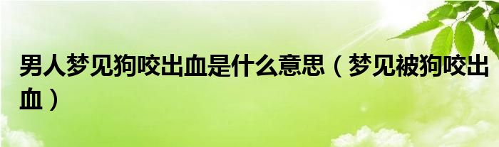 男人夢見狗咬出血是什么意思（夢見被狗咬出血）