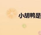 小胡鴨是哪里的品牌（小胡鴨）