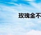 玫瑰金不銹鋼板顏色（玫瑰金）