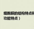 細胞膜的結構特點和功能特點的比較（細胞膜的結構特點和功能特點）