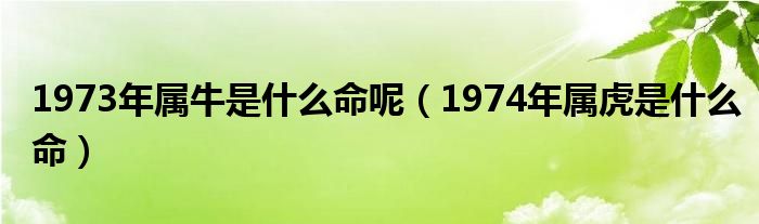 1973年屬牛是什么命呢（1974年屬虎是什么命）