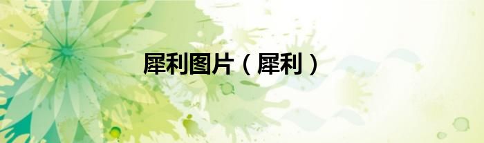犀利圖片（犀利）