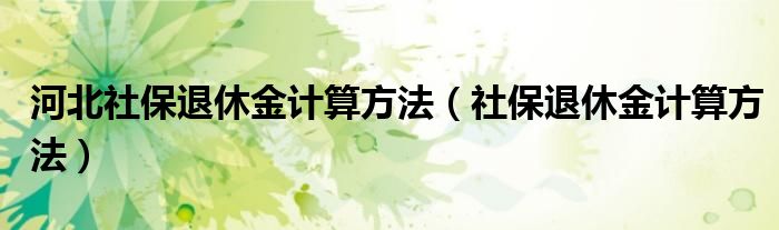 河北社保退休金計(jì)算方法（社保退休金計(jì)算方法）