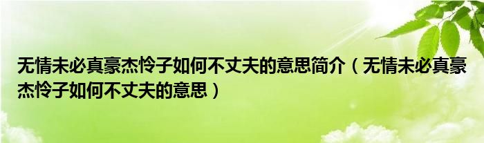 無情未必真豪杰憐子如何不丈夫的意思簡介（無情未必真豪杰憐子如何不丈夫的意思）