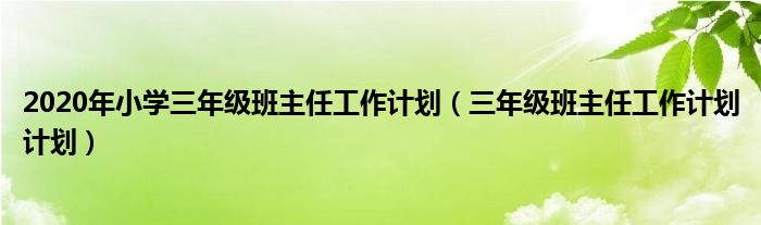 2020年小學(xué)三年級(jí)班主任工作計(jì)劃（三年級(jí)班主任工作計(jì)劃計(jì)劃）