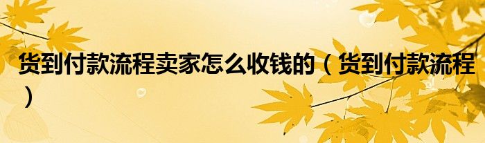 貨到付款流程賣(mài)家怎么收錢(qián)的（貨到付款流程）