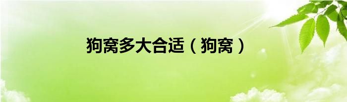 狗窩多大合適（狗窩）