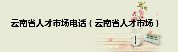 云南省人才市場(chǎng)電話(huà)（云南省人才市場(chǎng)）