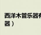 西洋木管樂器有哪些樂器（管弦樂隊有哪些樂器）