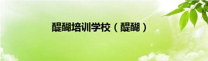 醍醐培訓(xùn)學(xué)校（醍醐）