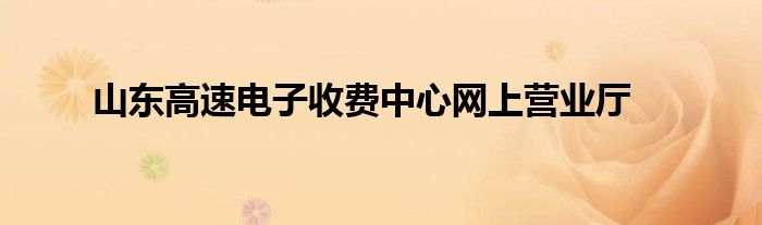 山東高速電子收費中心網上營業(yè)廳