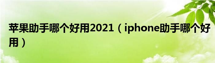 蘋果助手哪個(gè)好用2021（iphone助手哪個(gè)好用）