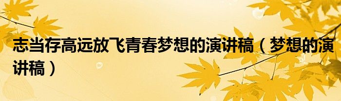 志當存高遠放飛青春夢想的演講稿（夢想的演講稿）