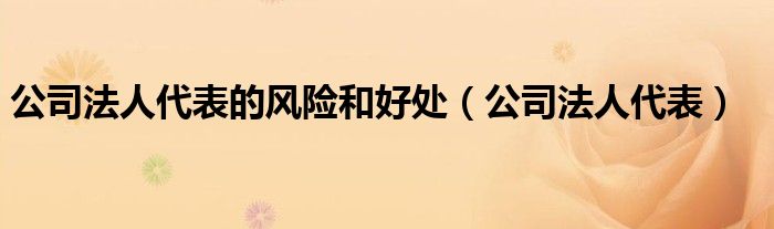 公司法人代表的風(fēng)險(xiǎn)和好處（公司法人代表）
