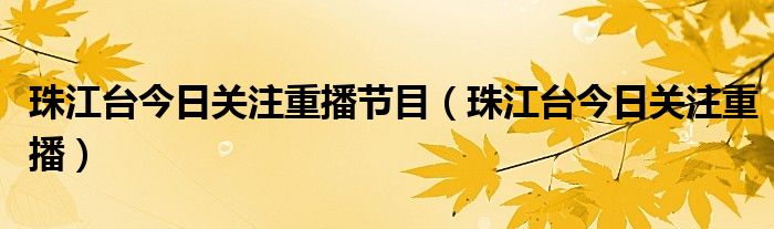 珠江臺今日關注重播節(jié)目（珠江臺今日關注重播）