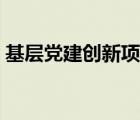 基層黨建創(chuàng)新項目內(nèi)容（基層黨建創(chuàng)新項目）