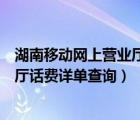 湖南移動網(wǎng)上營業(yè)廳話費詳單查詢電話（湖南移動網(wǎng)上營業(yè)廳話費詳單查詢）