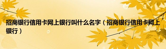 招商銀行信用卡網(wǎng)上銀行叫什么名字（招商銀行信用卡網(wǎng)上銀行）