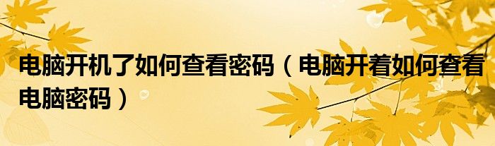 電腦開機了如何查看密碼（電腦開著如何查看電腦密碼）