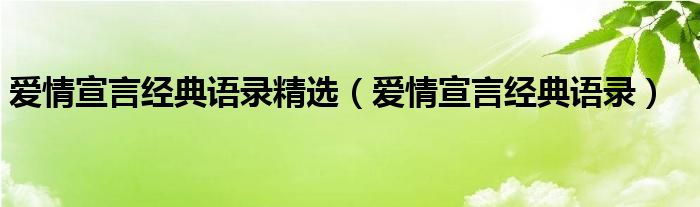 愛情宣言經(jīng)典語錄精選（愛情宣言經(jīng)典語錄）