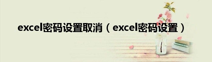 excel密碼設(shè)置取消（excel密碼設(shè)置）