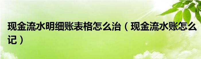 現(xiàn)金流水明細(xì)賬表格怎么治（現(xiàn)金流水賬怎么記）