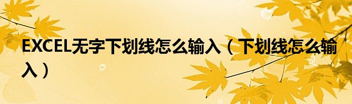 EXCEL無(wú)字下劃線怎么輸入（下劃線怎么輸入）