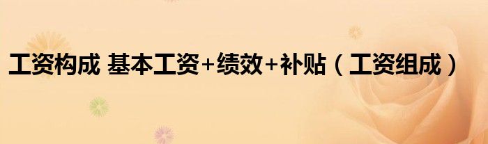 工資構(gòu)成 基本工資+績(jī)效+補(bǔ)貼（工資組成）