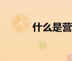 什么是營銷策略（什么是營銷）