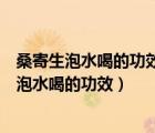 桑寄生泡水喝的功效桑寄生和柿子葉泡水喝有什么（桑寄生泡水喝的功效）