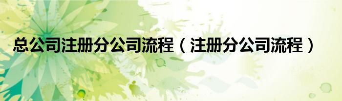 總公司注冊分公司流程（注冊分公司流程）