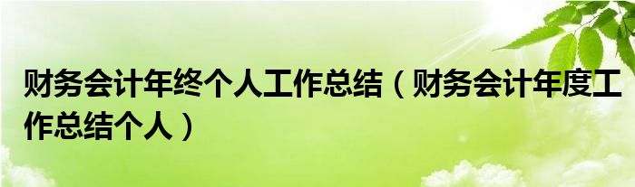 財務會計年終個人工作總結（財務會計年度工作總結個人）