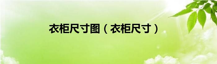 衣柜尺寸圖（衣柜尺寸）