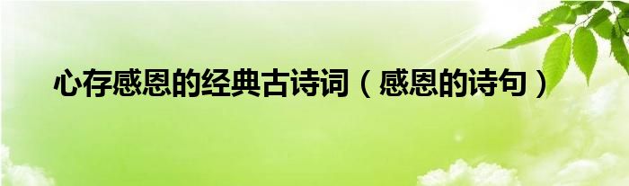 心存感恩的經(jīng)典古詩詞（感恩的詩句）