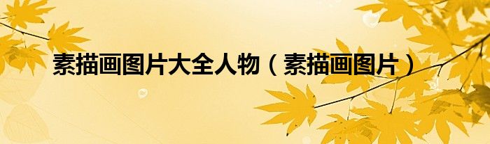 素描畫圖片大全人物（素描畫圖片）