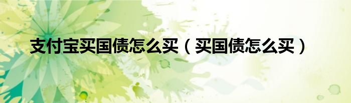 支付寶買國債怎么買（買國債怎么買）
