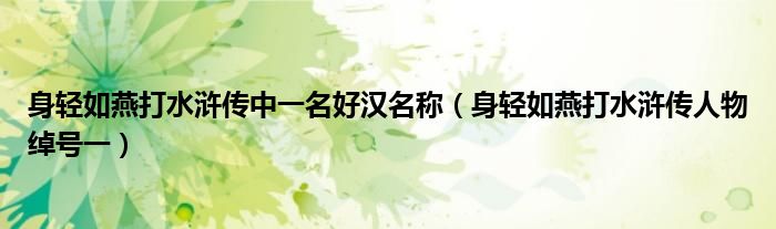 身輕如燕打水滸傳中一名好漢名稱（身輕如燕打水滸傳人物綽號一）
