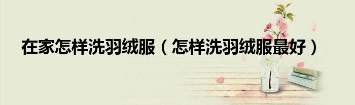 在家怎樣洗羽絨服（怎樣洗羽絨服最好）
