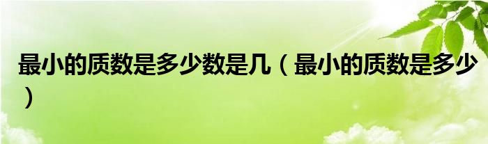最小的質(zhì)數(shù)是多少數(shù)是幾（最小的質(zhì)數(shù)是多少）
