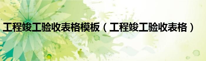 工程竣工驗收表格模板（工程竣工驗收表格）