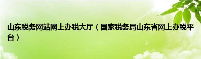山東稅務(wù)網(wǎng)站網(wǎng)上辦稅大廳（國家稅務(wù)局山東省網(wǎng)上辦稅平臺）