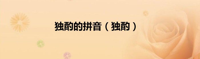 獨(dú)酌的拼音（獨(dú)酌）