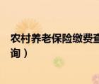 農(nóng)村養(yǎng)老保險繳費查詢個人賬戶明細（農(nóng)村養(yǎng)老保險繳費查詢）