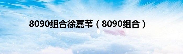 8090組合徐嘉葦（8090組合）
