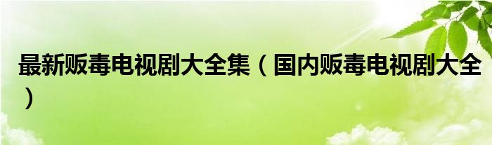 最新販毒電視劇大全集（國內販毒電視劇大全）