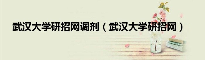 武漢大學(xué)研招網(wǎng)調(diào)劑（武漢大學(xué)研招網(wǎng)）