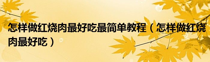 怎樣做紅燒肉最好吃最簡單教程（怎樣做紅燒肉最好吃）