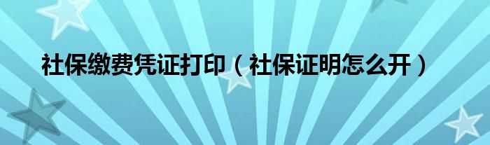 社保繳費(fèi)憑證打?。ㄉ绫ＷC明怎么開）